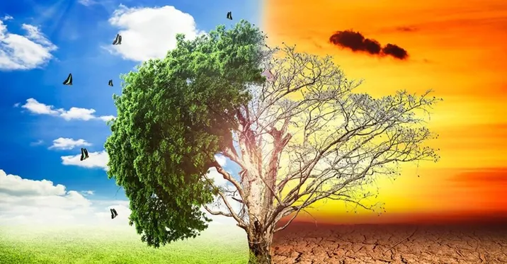 climate change 2.JPG