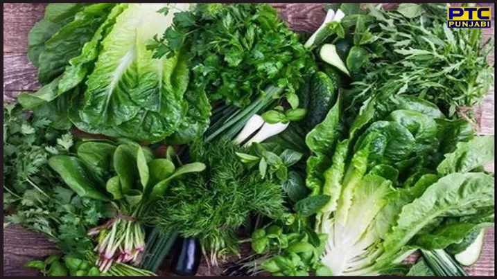 Benefits of Green Leafy vegetables