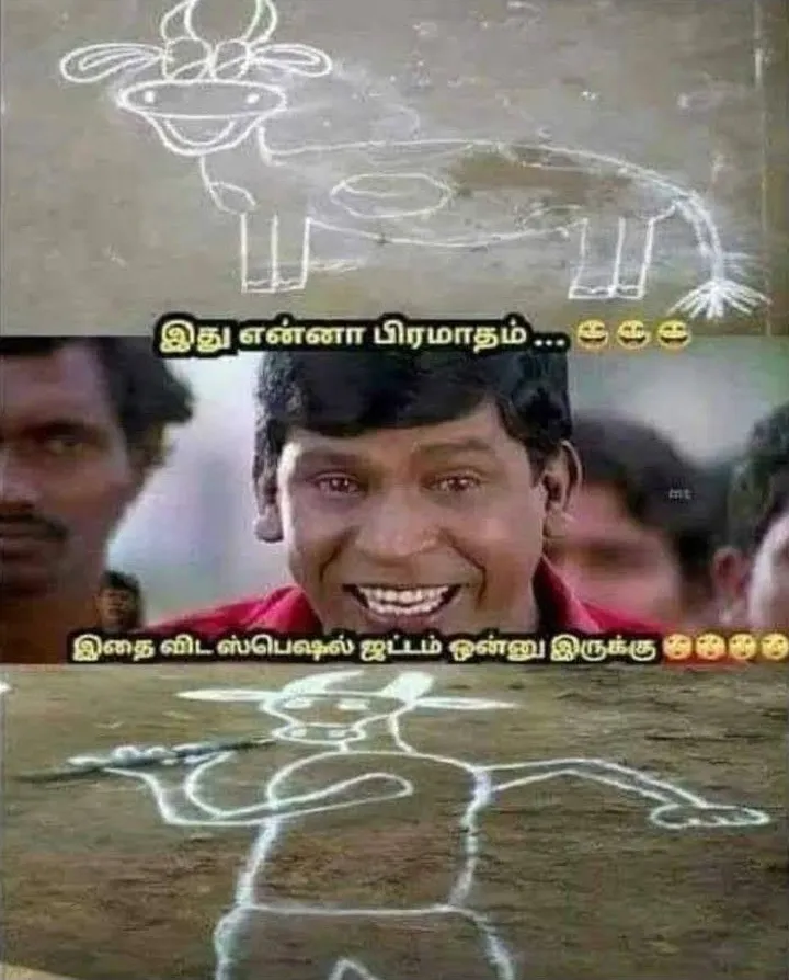 Cow Pongal1