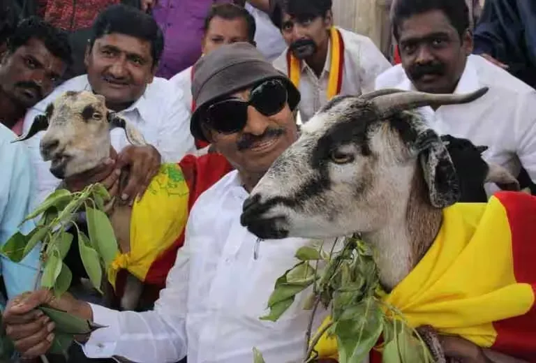Vatal Nagaraj