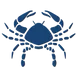 publive-image