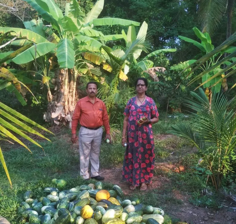 fruits at manjanna farms