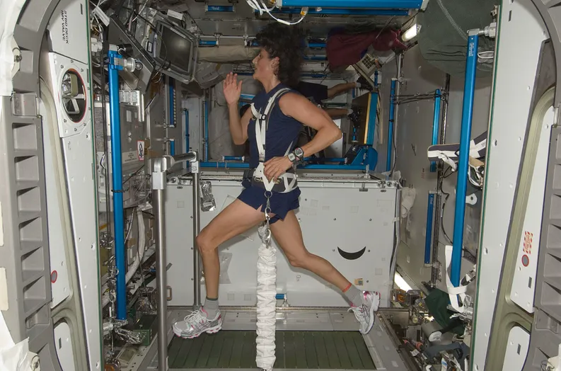 Williams exercises on COLBERT during ISS Expedition 32