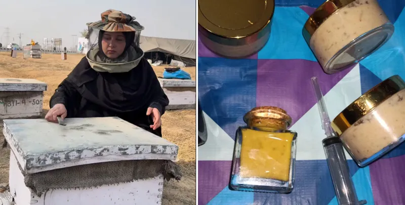 beebox and cosmetics