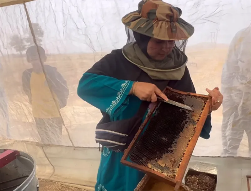 scraping beewax