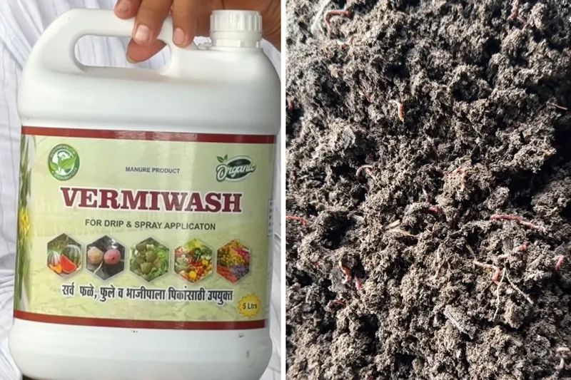 compost