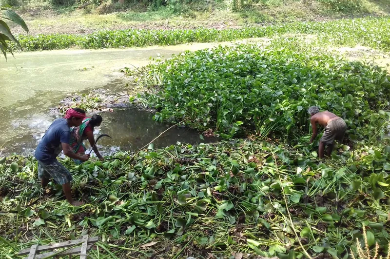 Swachhatapukare Foundation