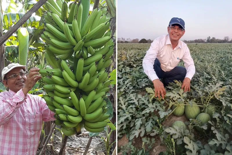 banana