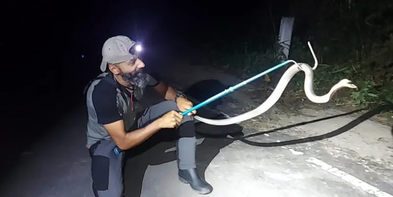 rescuing a snake at night shuayb