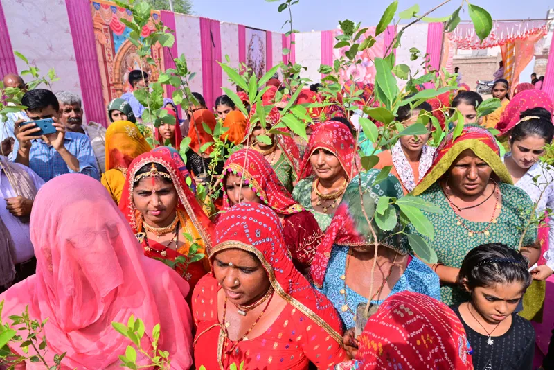 women plantation