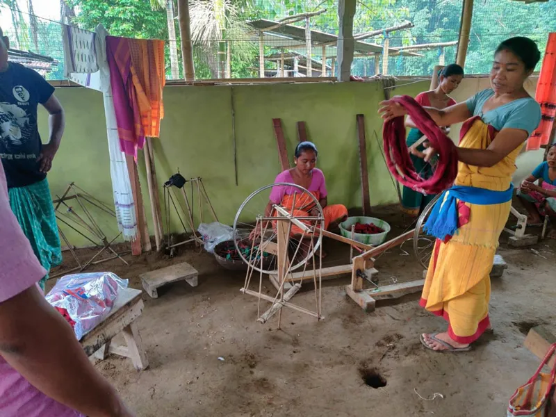 artisan-weavers-bhramaputra fables