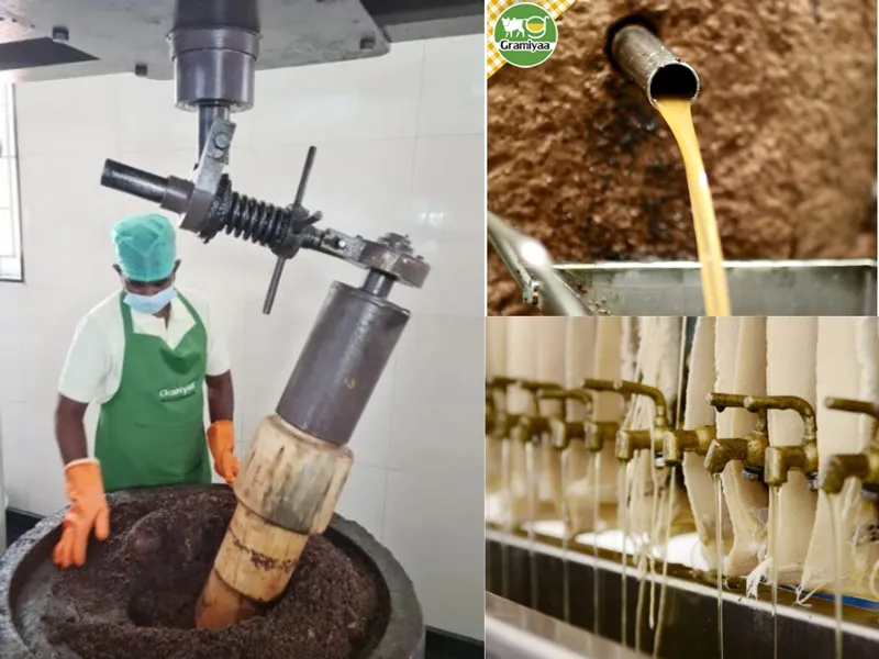 process of making cold pressed oil