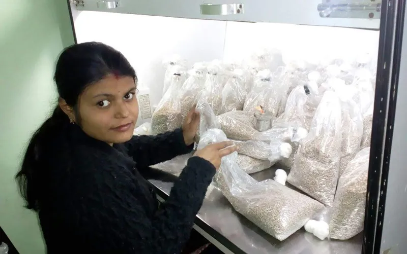 Nidhi Katare at her spawn lab. Pic: Nidhi Katare