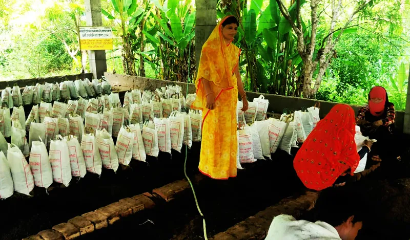 vermicompost rubi pareek