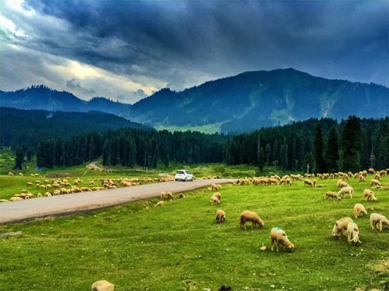 shepherds at doodhpathri