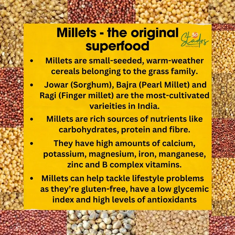 millet factsheet
