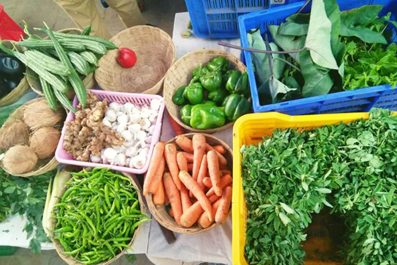 Some vegetables grown at the Thakkar Farm