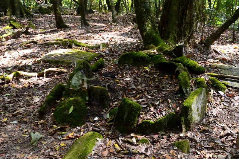 sacrificial sites