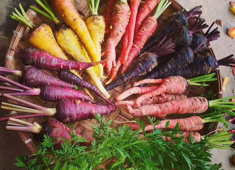 native varieties of veggies pabhoi