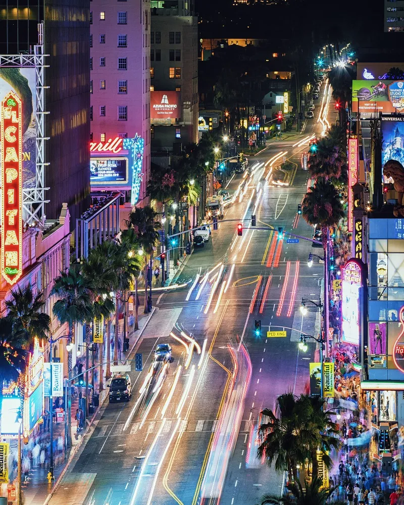 78002424_Buzzing Through The Walk Of Fame_5308x6635