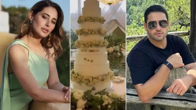 Nargis Fakhri  Wedding Tony Beig