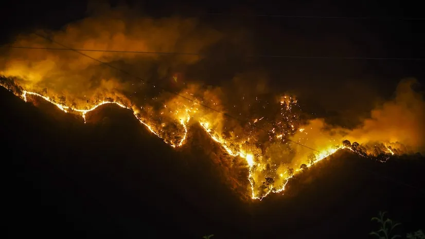 Loss Angeles Wildfire