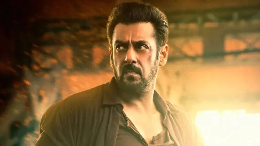 On the work front, Salman Khan 