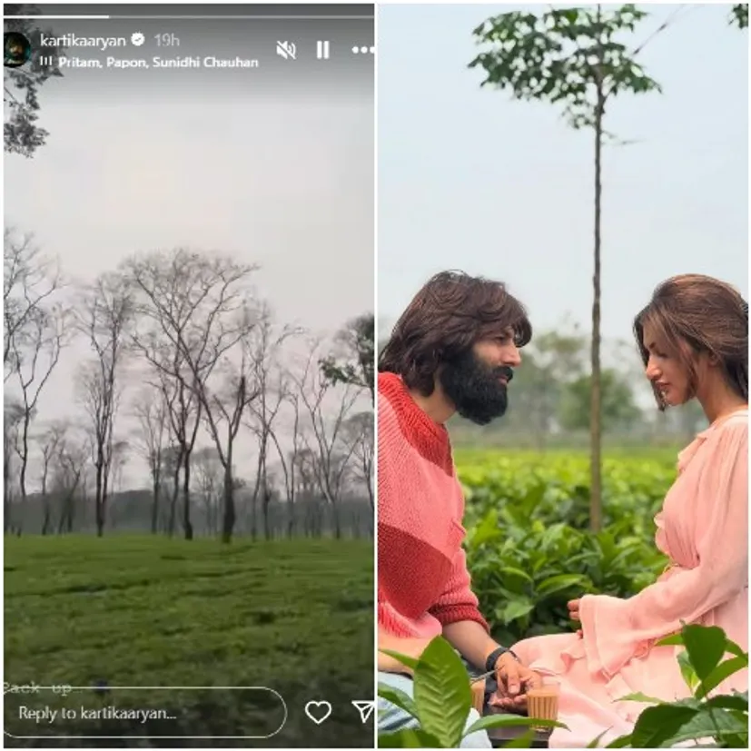 Kartik Aaryan Instagram