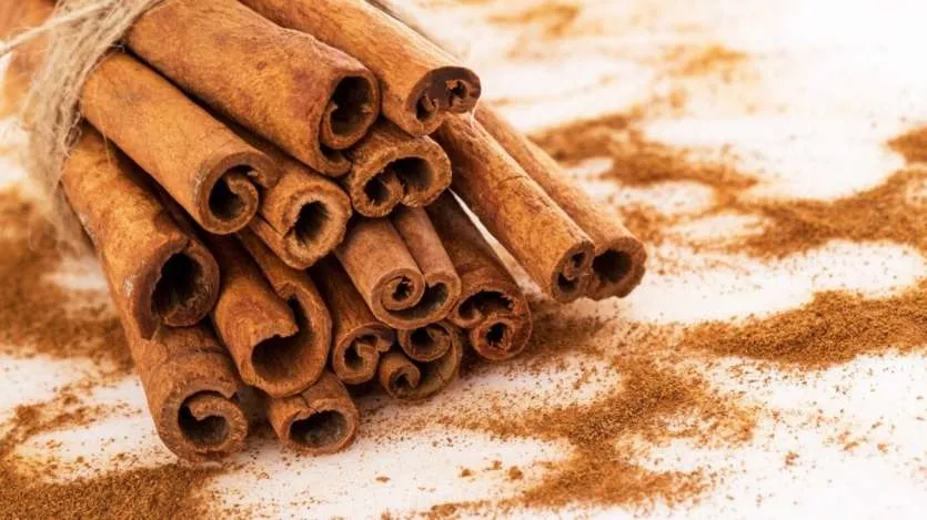 5 spices to add to your chai: দারুচিনি আদা দিলে স্বাদে অন্য মাত্রা এনে দেয়