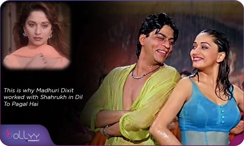This is why Madhuri Dixit worked with Shahrukh in Dil To Pagal Hai