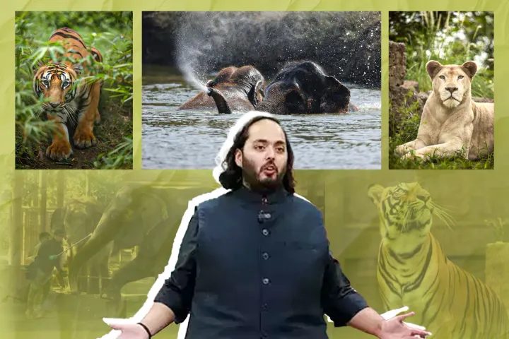 Anant Ambani's Vantara Unveils Star-Studded Environmental Campaign