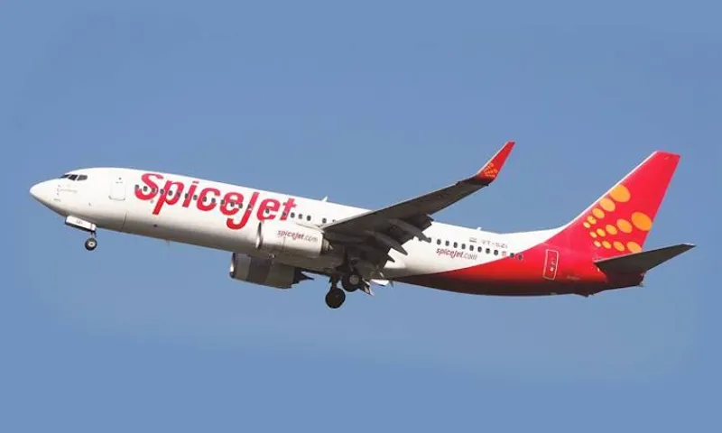 Delhi HC summons SpiceJet COO, CEO over non-payment of dues to lessors
