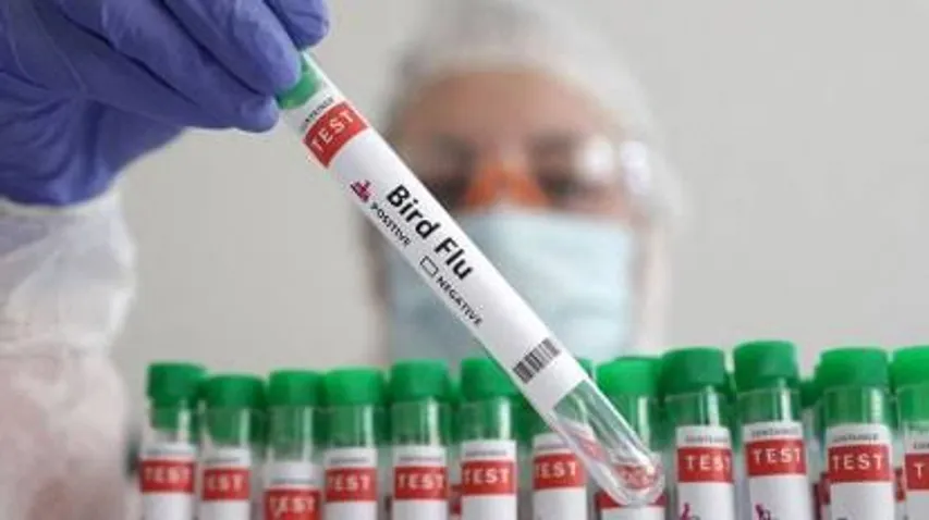 Severe case of Bird Flu rise in The US