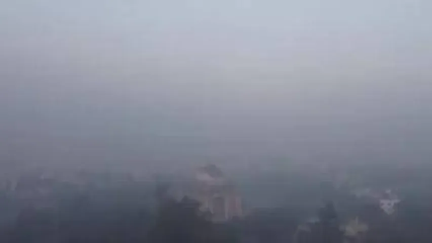 Delhi shivers in cold wave amid dense fog