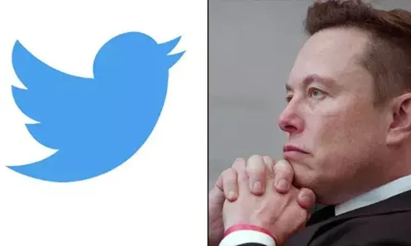 Twitter stocks plunge amid legal fight with Musk over acquisition