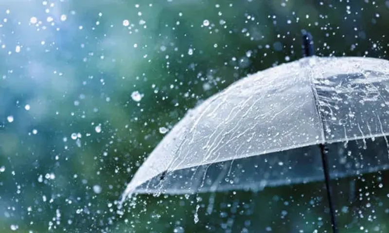 Winter chill in summer as rain pounds Gujarat's Saurashtra