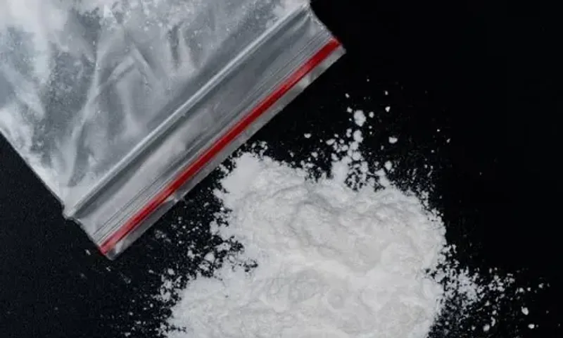 Gujarat ATS seizes 35kg heroin in Delhi, Muzaffarnagar