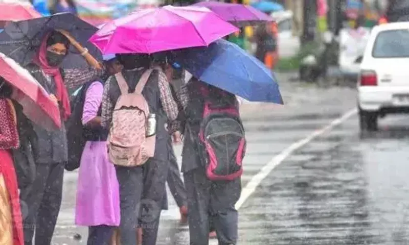 Heavy rains: Tuesday holiday for educational institutions in Ernakulam, Kasaragod, Alappuzha