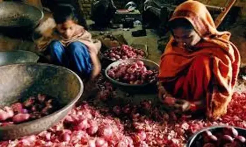 Report: Govt imposes 40% duty on onion exports till December 31