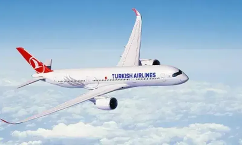 Turkish Airlines' Istanbul-Singapore flight makes emergency landing in Kolkata after passenger falls ill