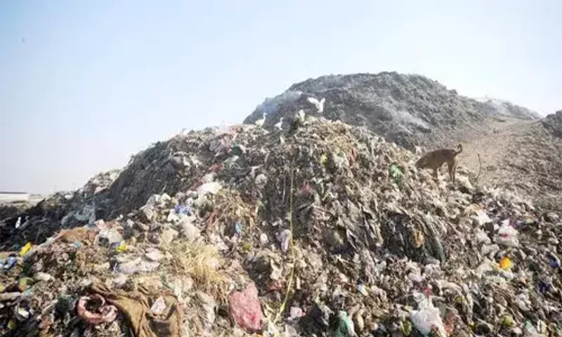 Gujarat: An Amdavadi creates 11kg of plastic waste a year