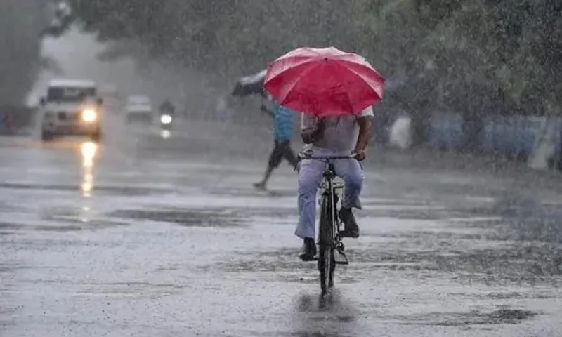 North India likely to witness heavy rainfall in next few days