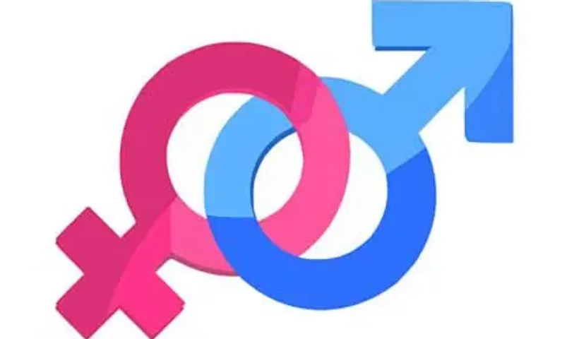 Vadodara's gender ratio sees 2% upgrade