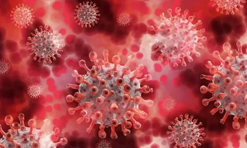 Expert Says: "Disease X" Could Bring Next Pandemic which is 7 times deadlier than Covid-19, Read More Here...