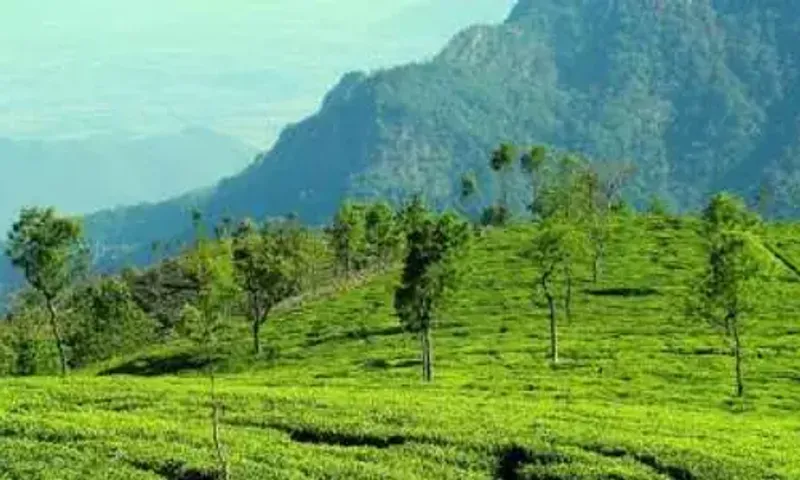 E-passes mandatory for visitors travelling to Ooty, Kodaikanal in Tamil Nadu from May 7