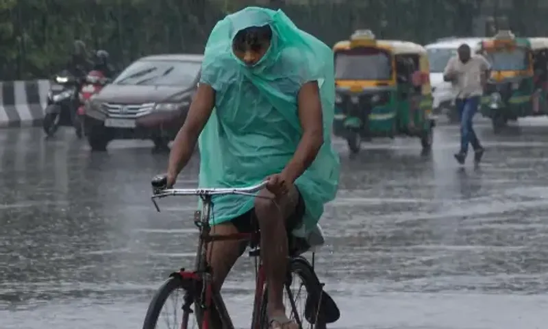 With 88.2 mm of rain, Delhi had its heaviest rain in January since 1901