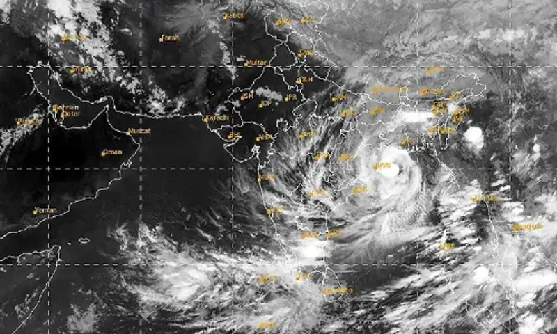 Tamil Nadu asks Centre to upgrade IMD's technology, says it could not give timely forecast