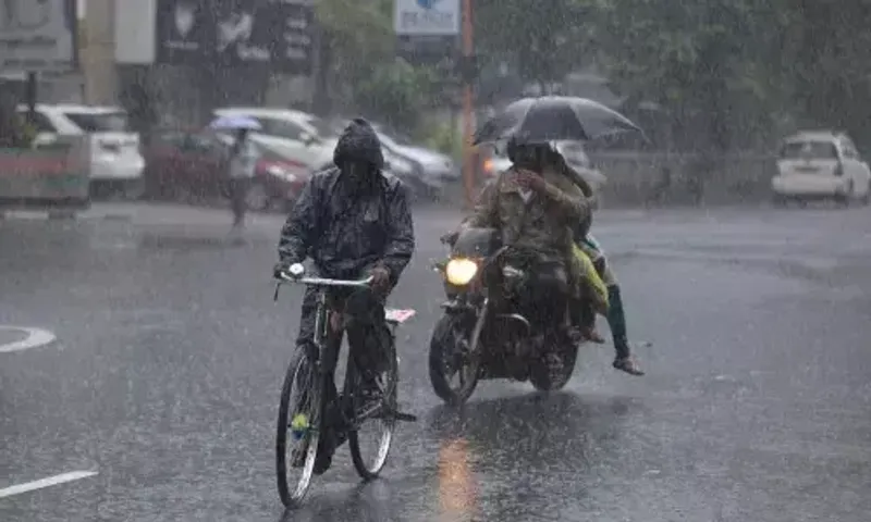 Gujarat likely to get above-average rainfall