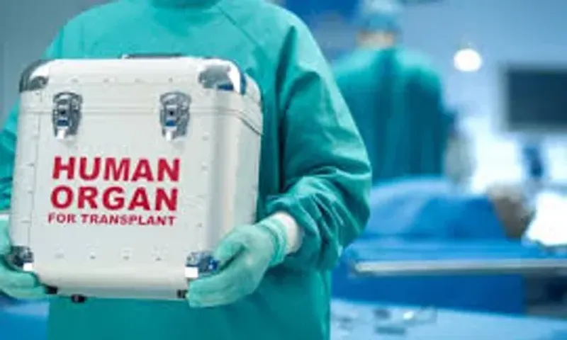 Govt: Increase in organ transplants post Covid