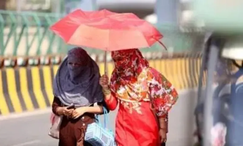 Ahmedabad: Max temp drops by 3.4°C in 3 days, citizens heaved a sigh of relief